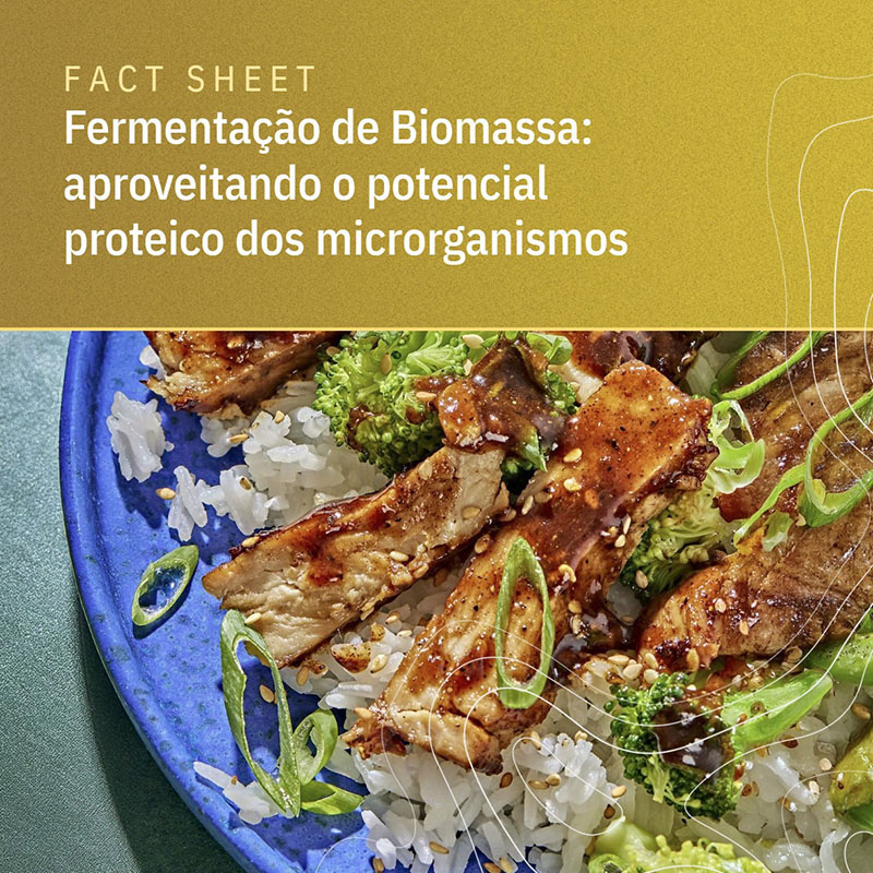 Fact Sheet – Fermentação de Biomassa: aproveitando o potencial proteico dos microrganismos